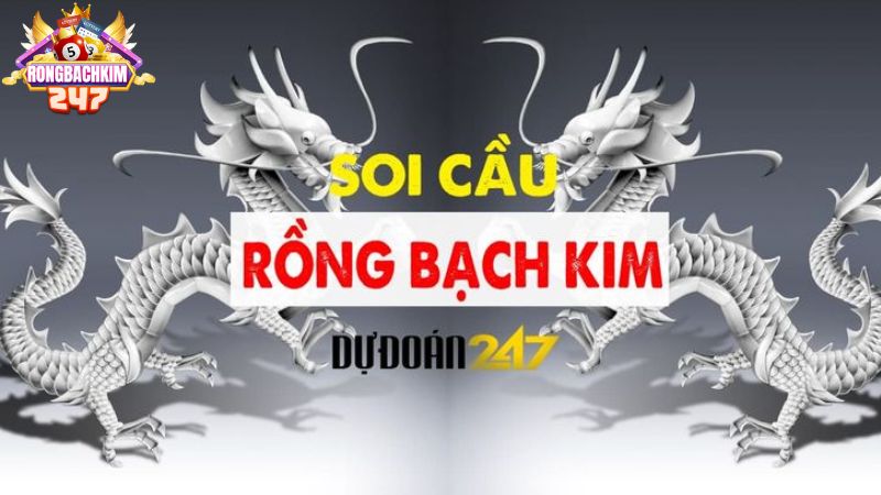 Rồng Bạch Kim 247 - Thiên Đường Soi Cầu Chốt Số Chính Xác 100% 