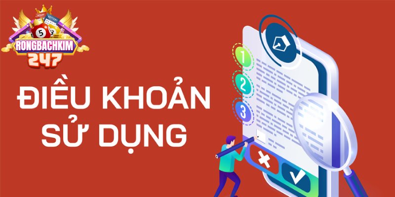 Điều Khoản Rồng Bạch Kim 247 Minh Bạch, Uy Tín Hàng Đầu