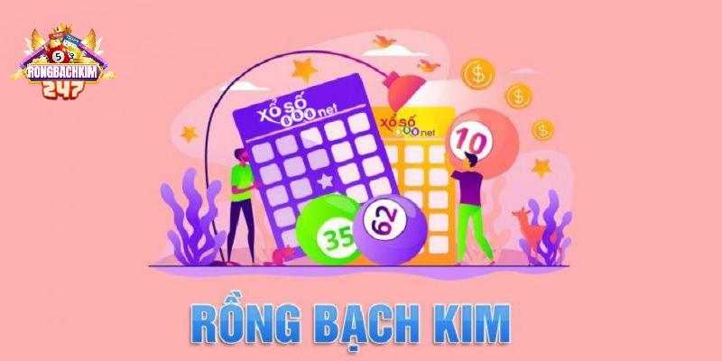 Tác Giả Chi Dân - Anh Tài Trẻ Tuổi Của Rồng Bạch Kim 247