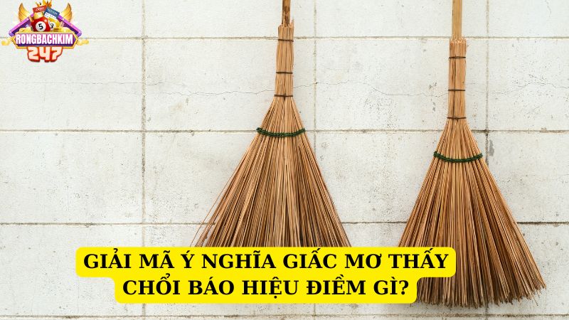 Mơ thấy cây chổi đánh số gì? Ý nghĩa giấc mơ thấy chổi 