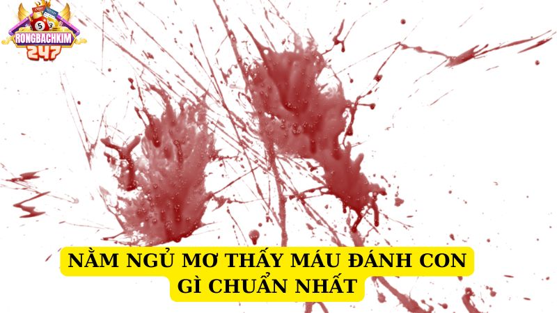 Ngủ mơ thấy máu đánh con gì chuẩn nhất? Giải mã giấc mơ thấy máu