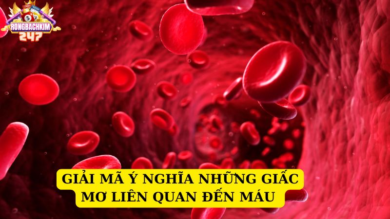 Ngủ mơ thấy máu đánh con gì chuẩn nhất? Giải mã giấc mơ thấy máu