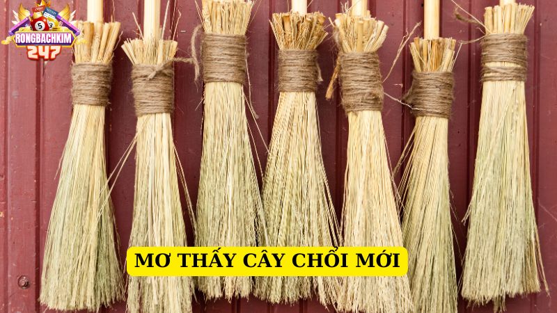 Mơ thấy cây chổi đánh số gì? Ý nghĩa giấc mơ thấy chổi 