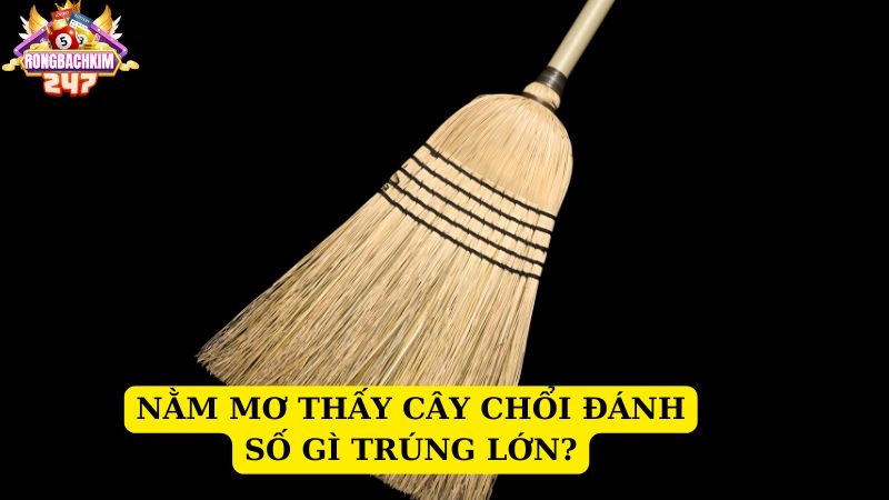 Mơ thấy cây chổi đánh số gì? Ý nghĩa giấc mơ thấy chổi 